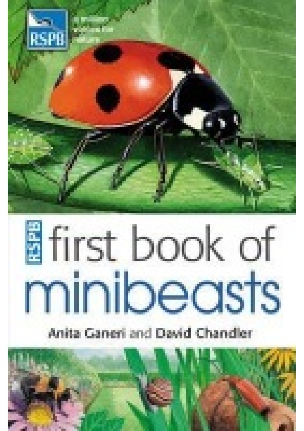 RSPB First Book Of Minibeasts