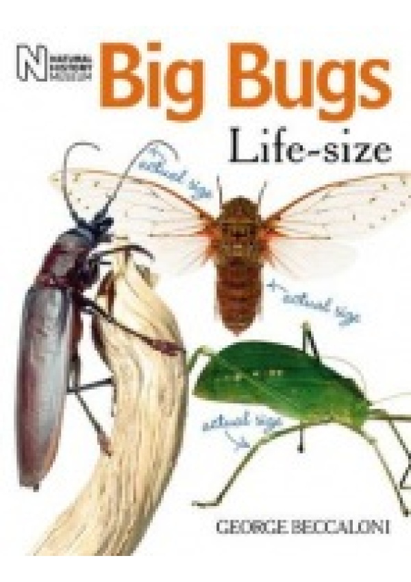 Big Bugs Life-Size