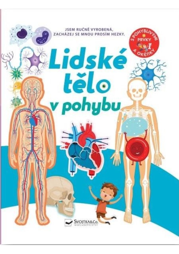 Lidské tělo v pohybu