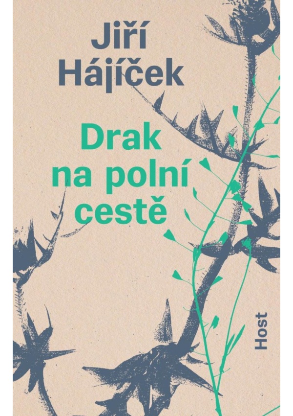 Drak na polní cestě