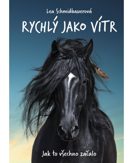 Rychlý jako vítr: Jak to všechno začalo