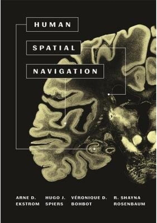 Human Spatial Navigation