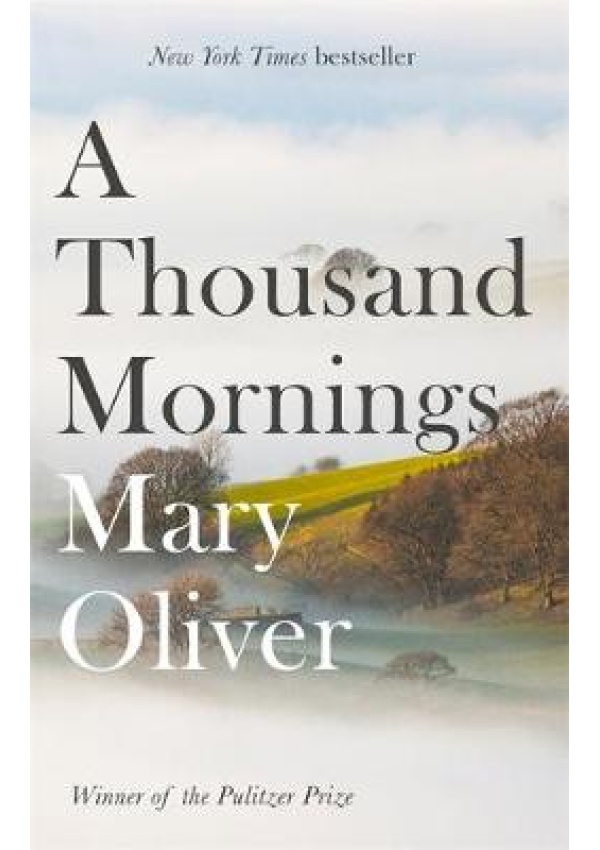 Thousand Mornings