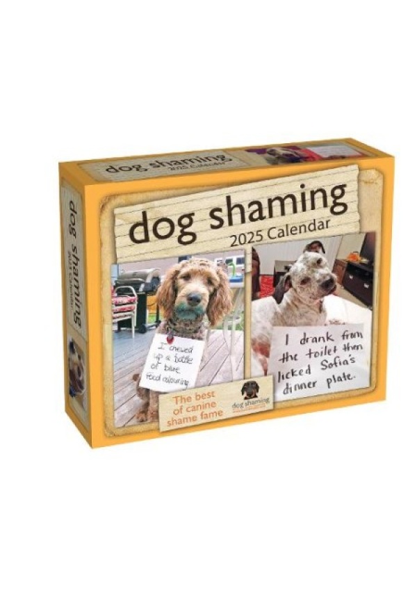 Dog Shaming 2025 Day-to-Day Calendar