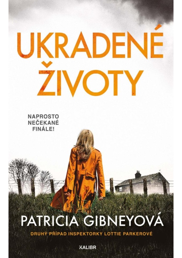 Ukradené životy