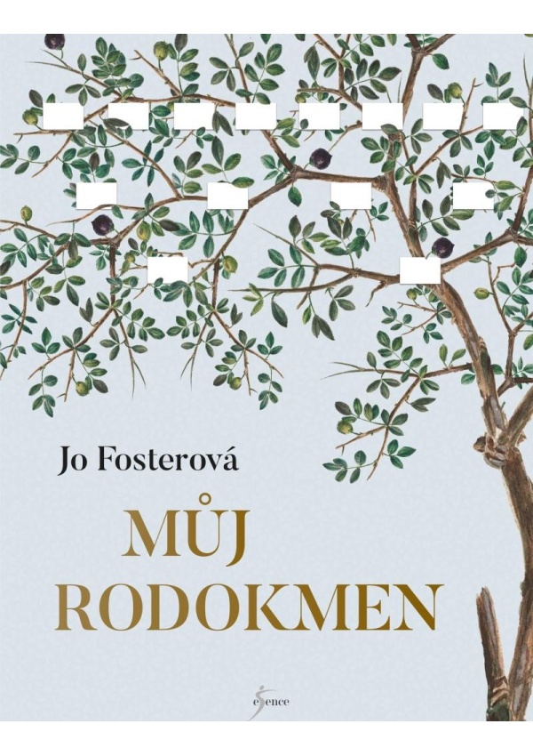 Můj rodokmen
