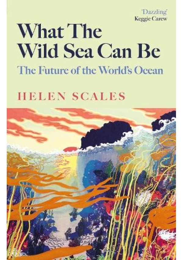 What the Wild Sea Can Be, The Future of the World's Ocean