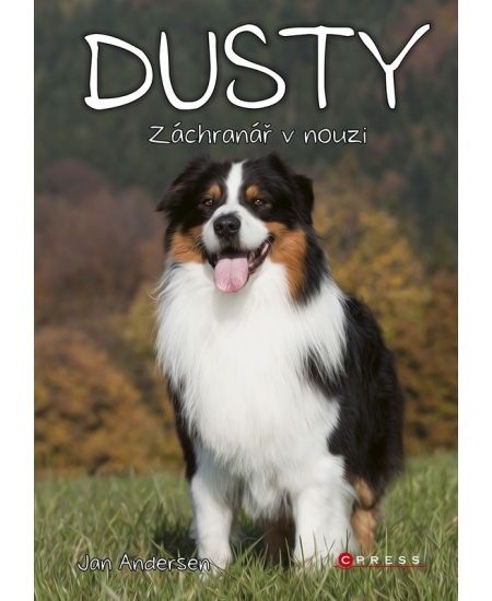 Dusty: Záchranář v nouzi