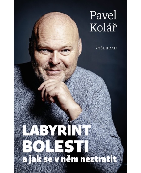 Labyrint bolesti