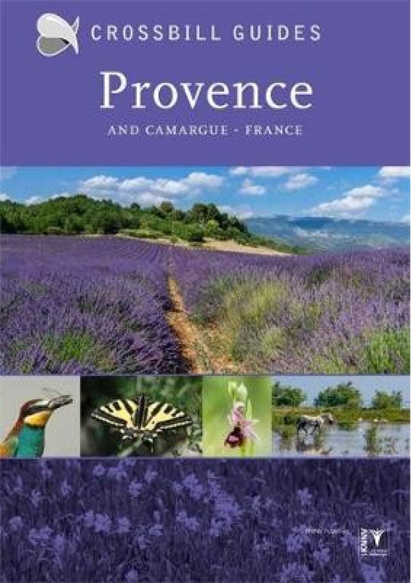 Provence, And Camargue, France