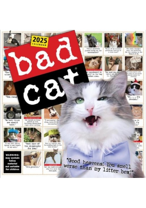 Bad Cat Wall Calendar 2025, Celebrating the Misfits of the Feline World