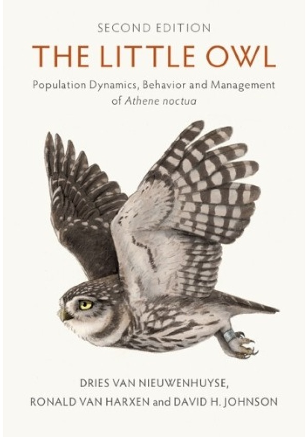 Little Owl, Population Dynamics, Behavior and Management of Athene noctua