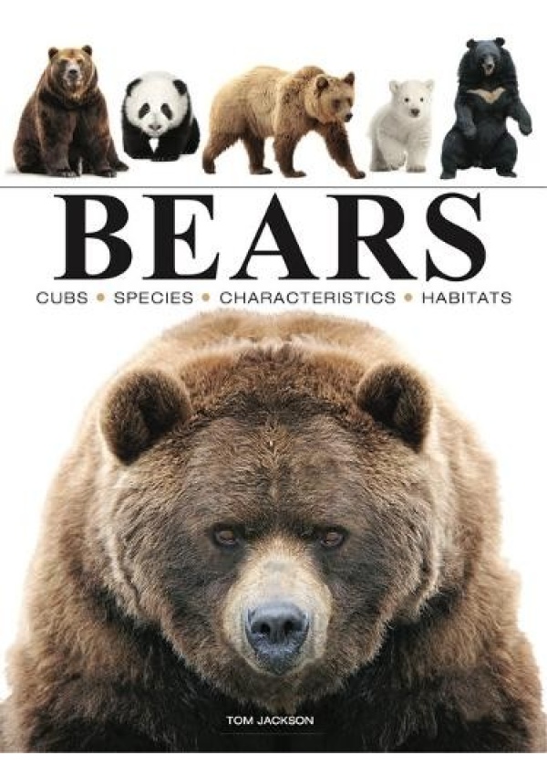 Bears
