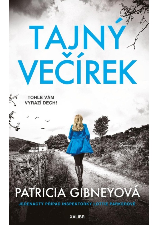 Tajný večírek