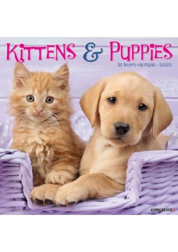 Kittens a Puppies 2025 12 X 12 Wall Calendar