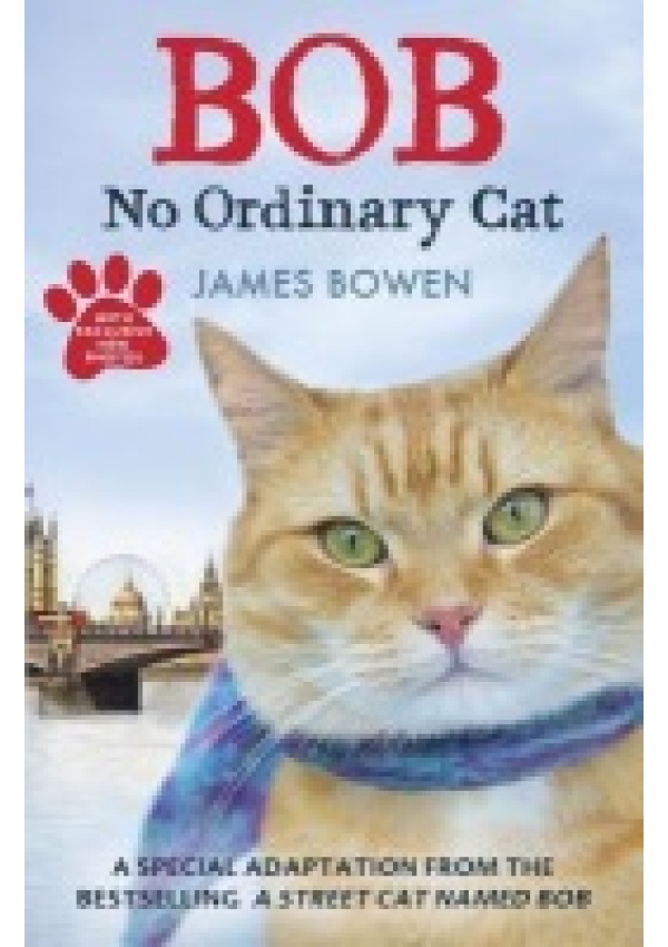 Bob, No Ordinary Cat
