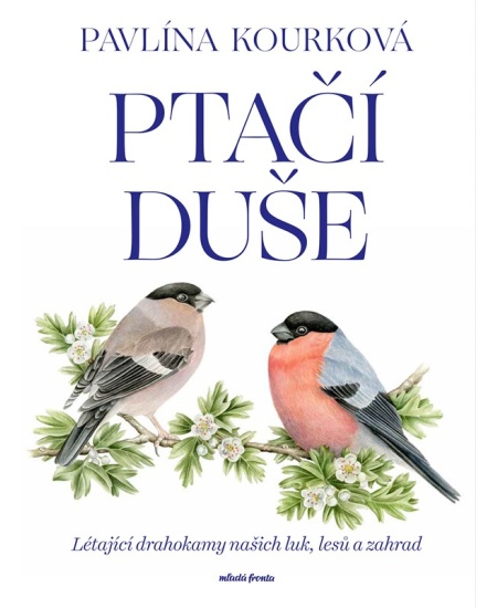 Ptačí duše