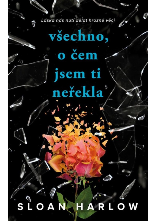 Všechno, o čem jsem ti neřekla