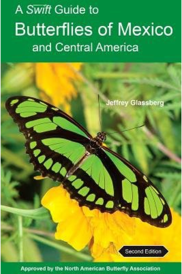 Swift Guide to Butterflies of Mexico and Central America, Second Edition
