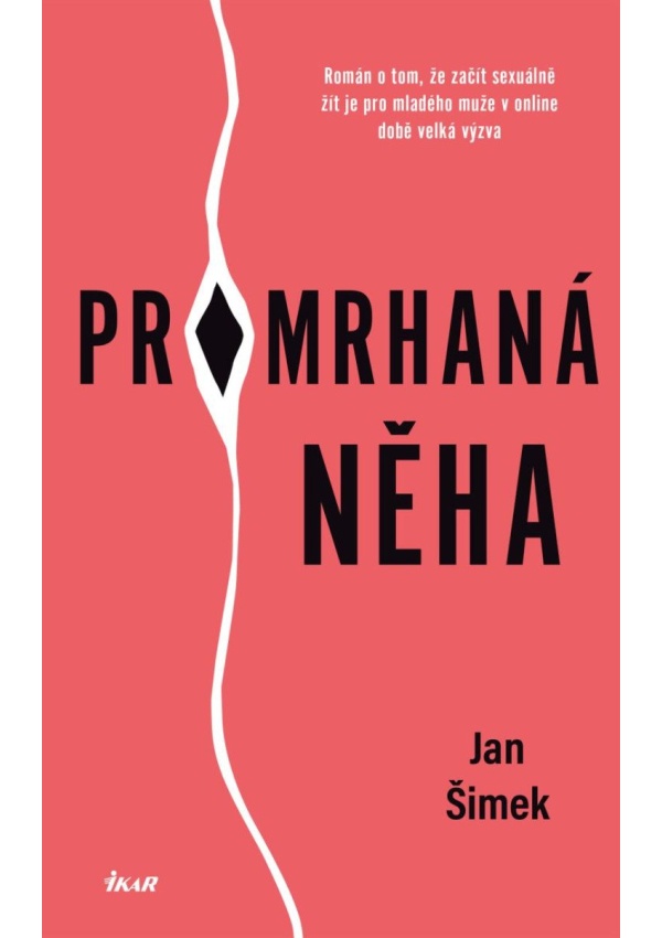 Promrhaná něha