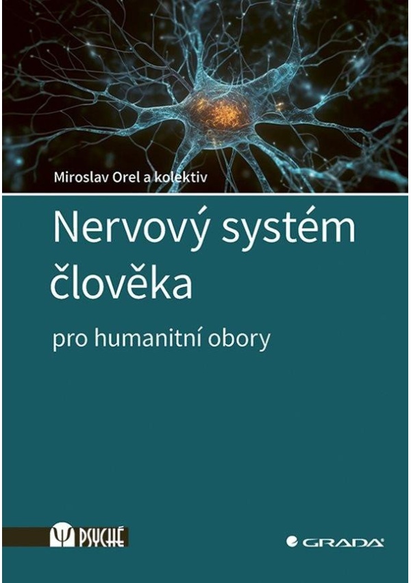 Nervový systém člověka - Pro humanitní obory