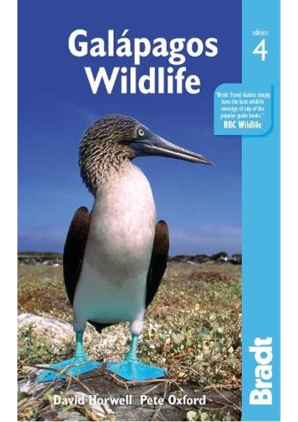 Galapagos Wildlife