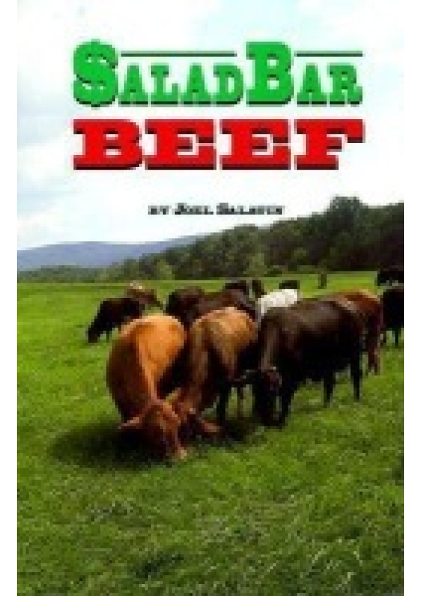 Salad Bar Beef