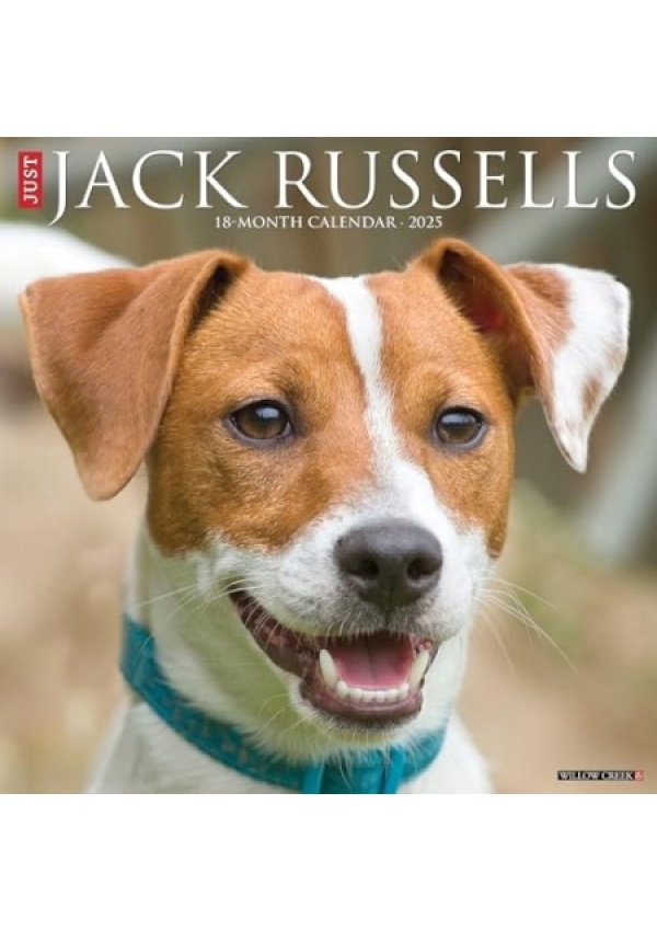 Just Jack Russells 2025 12 X 12 Wall Calendar