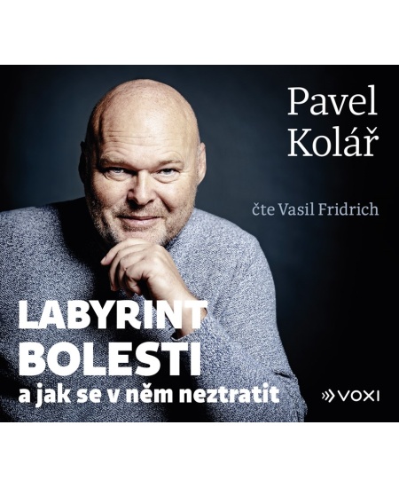 Labyrint bolesti (audiokniha)
