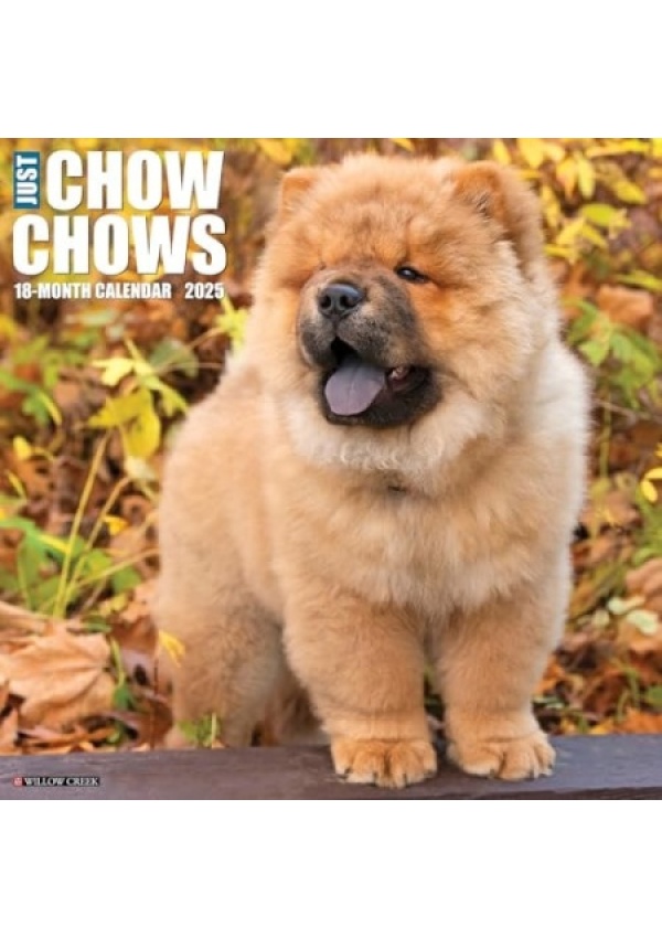 Just Chow Chows 2025 12 X 12 Wall Calendar