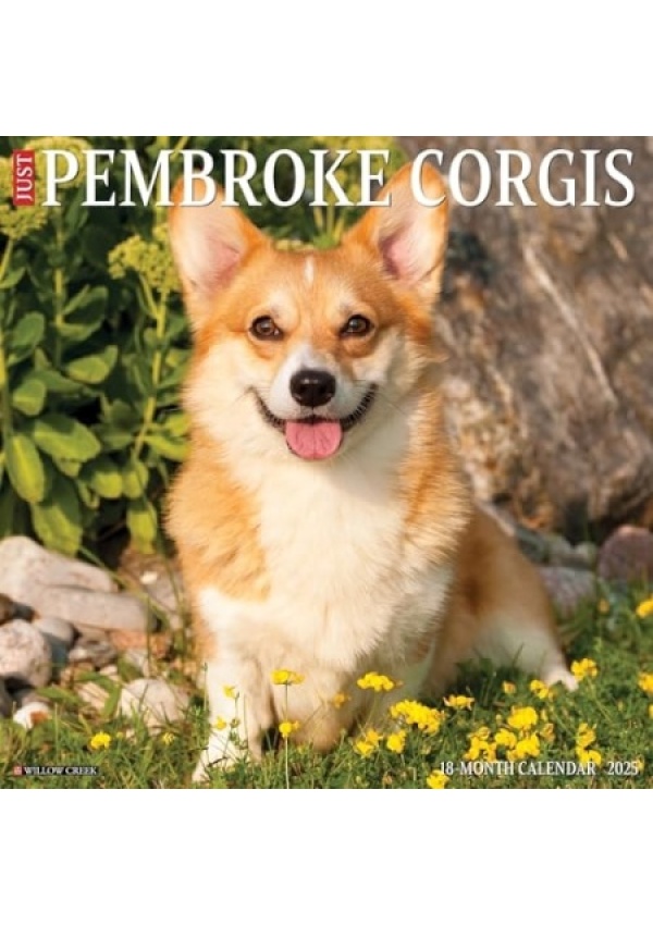 Just Pembroke Corgis 2025 12 X 12 Wall Calendar
