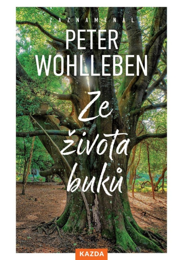 Ze života buků - Strom vypráví svůj úžasný příběh