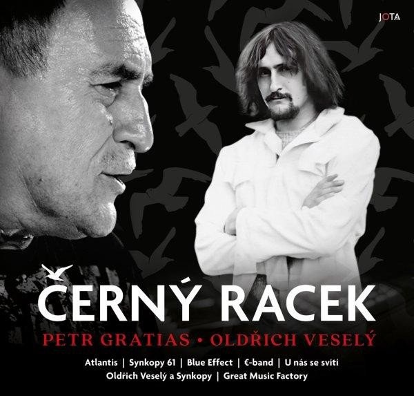 Černý racek