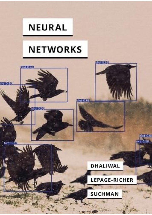 Neural Networks
