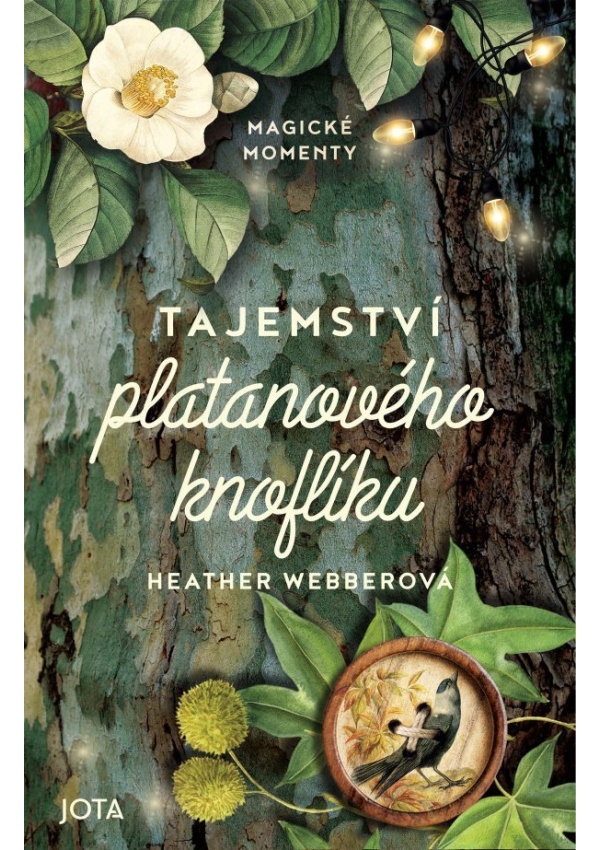 Tajemství platanového knoflíku