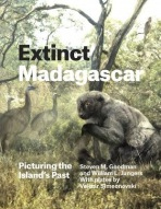 Extinct Madagascar, Picturing the Island's Past