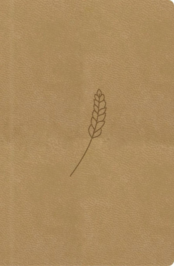 Bible, překlad 21. století (medová) - kapesní