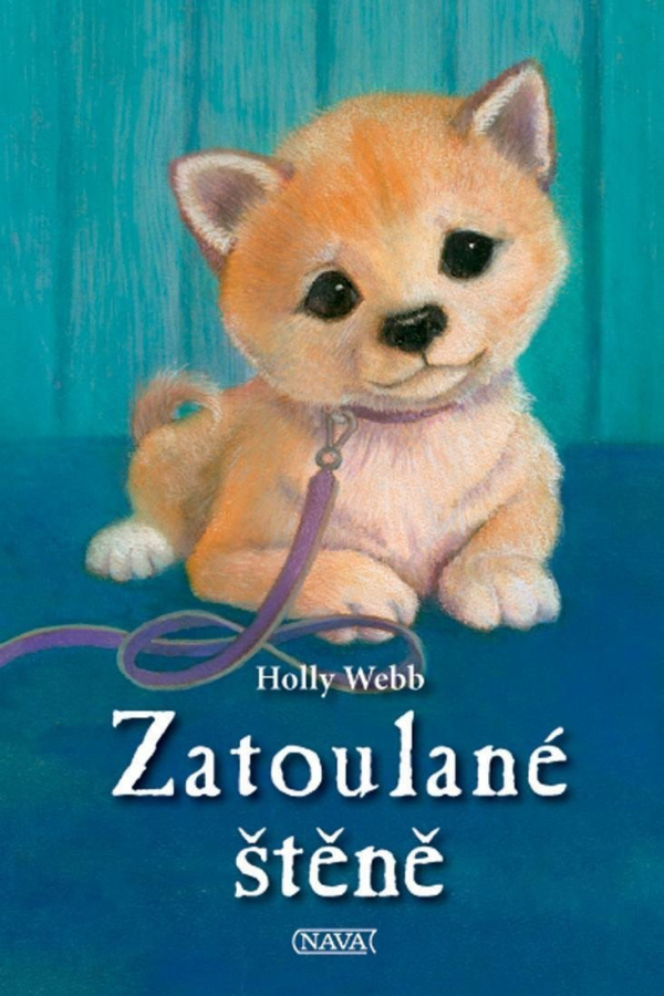 Zatoulané štěně