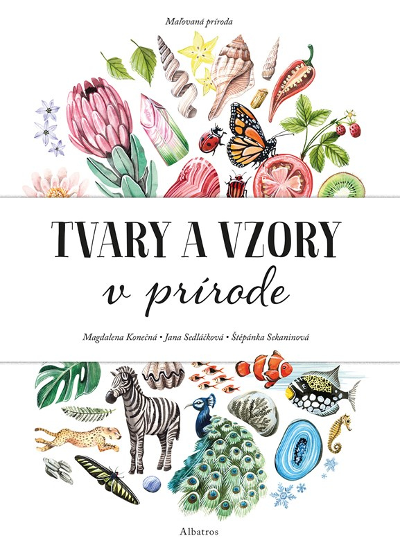 Maľovaná príroda - Tvary a vzory v prírode