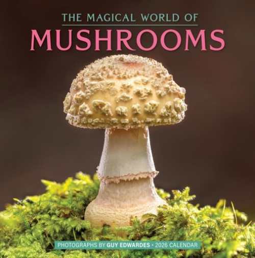 The Magical World of Mushrooms Wall Calendar 2026
