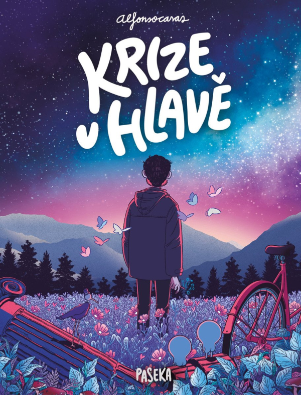 Krize v hlavě