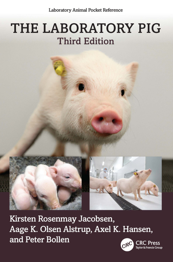 Laboratory Pig