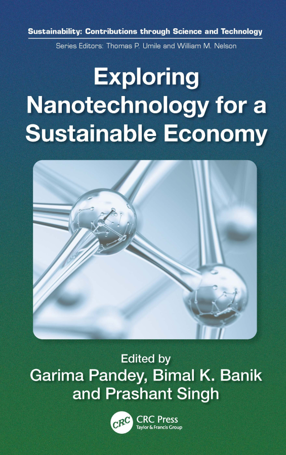 Exploring Nanotechnology for a Sustainable Economy