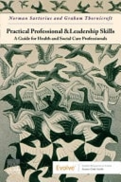 Practical Professional and Leadership Skills: A Guide for Health and Social Care Professionals, A Guide for Health and Social Care Professionals