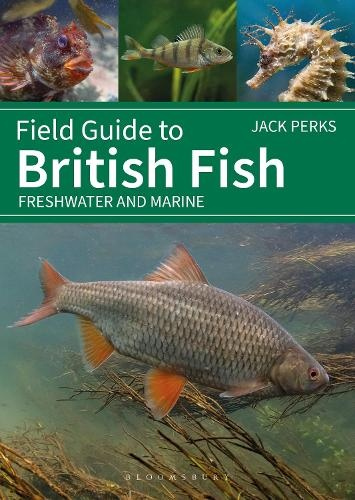 Field Guide to British Fish, Freshwater and Marine
