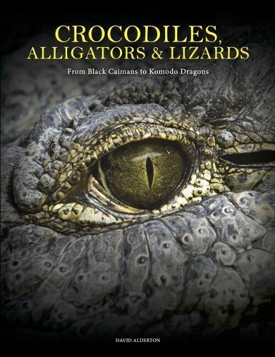Crocodiles, Alligators a Lizards, From Black Caimans to Komodo Dragons