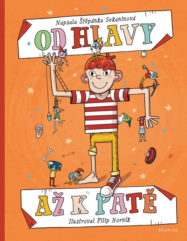 Od hlavy až k patě