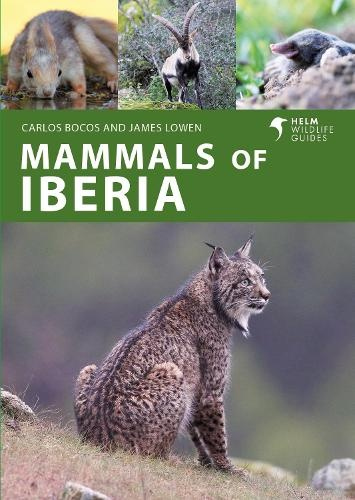 Mammals of Iberia, Terrestrial mammals of Spain, Portugal and the Balearic Islands