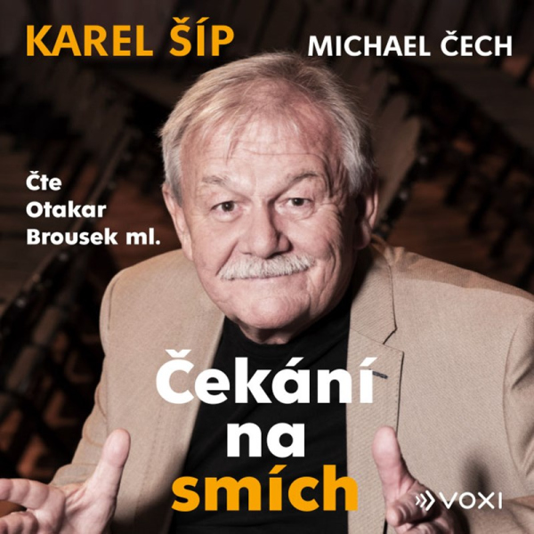 Čekání na smích (audiokniha)		
