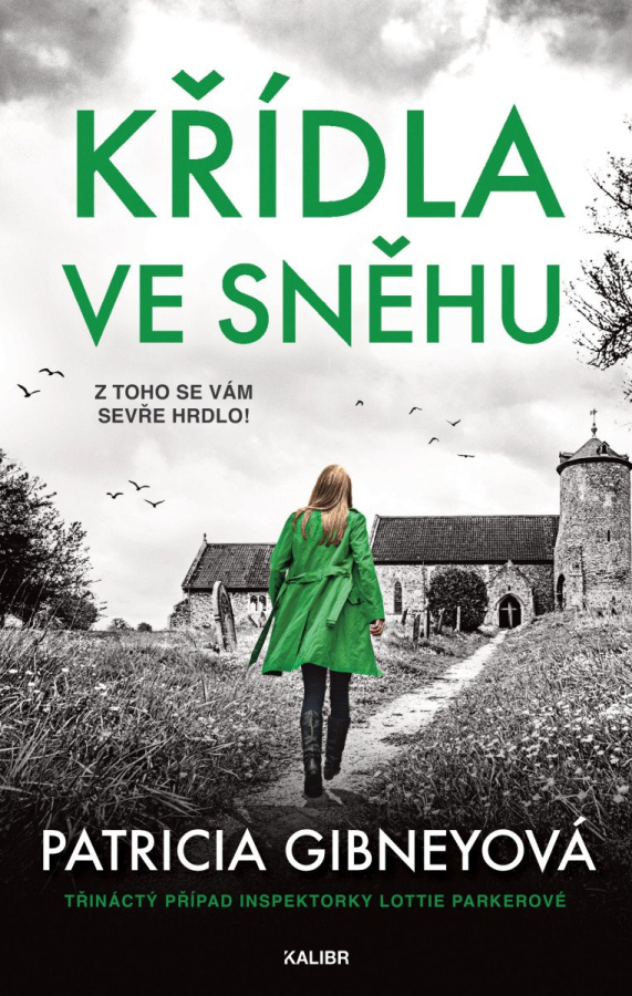 Křídla ve sněhu